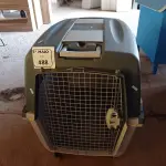 LOTE 488 - 01 CAIXA DE TRANSPORTE PARA PET. (NO ESTADO) ATENÇÃO! FAZER A VISITAÇÃO ANTES DE ARREMATAR, NÃO SABEMOS SE FUNCIONA. LEILÃO NÃO TEM GARANTIA E NEM DEVOLUÇÃO, SUJEITO A POSSÍVEIS AVARIAS VISÍVEIS/OCULTAS E/OU AUSÊNCIA DE COMPONENTES.