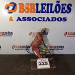 LOTE 229 - 01 PARAFUSADEIRA/FURADEIRA MARCA SCHUZ 220V. (NO ESTADO) ATENÇÃO! FAZER A VISITAÇÃO ANTES DE ARREMATAR, NÃO SABEMOS SE FUNCIONA. LEILÃO NÃO TEM GARANTIA E NEM DEVOLUÇÃO, SUJEITO A POSSÍVEIS AVARIAS VISÍVEIS/OCULTAS E/OU AUSÊNCIA DE COMPONENTES.