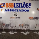LOTE 182 - 12 TAÇAS PARA CHAMPANHE DIVERSAS. (NO ESTADO) ATENÇÃO! FAZER A VISITAÇÃO ANTES DE ARREMATAR, NÃO SABEMOS SE FUNCIONA. LEILÃO NÃO TEM GARANTIA E NEM DEVOLUÇÃO, SUJEITO A POSSÍVEIS AVARIAS VISÍVEIS/OCULTAS E/OU AUSÊNCIA DE COMPONENTES.