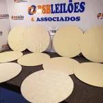 LOTE 169 - 09 SOUSPLAT COM CAPA FLORIDA NA COR VERDE. (NO ESTADO) ATENÇÃO! FAZER A VISITAÇÃO ANTES DE ARREMATAR, NÃO SABEMOS SE FUNCIONA. LEILÃO NÃO TEM GARANTIA E NEM DEVOLUÇÃO, SUJEITO A POSSÍVEIS AVARIAS VISÍVEIS/OCULTAS E/OU AUSÊNCIA DE COMPONENTES.