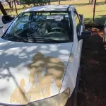 LOTE 029 - 01 FIAT STRADA PICK UP FIRE FLEX; PLACA: JIF-1574; ANO: 2009.  CHASSI: 9BD27803M97161620, RENAVAM: 00148258808; (VEÍCULO SOFREU SUPER AQUECIMENTO). (NO ESTADO)