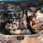 LOTE 018 - 01 FIAT STRADA PICK UP FIRE FLEX; PLACA: JIF-1564; ANO: 2009. CHASSI: 9BD27803M97161682, RENAVAM: 00148257402; (VEÍCULO NÃO FUNCIONA, CORREIA DENTADA QUEBRADA, VEÍCULO FALTANDO RETROVISORES EXTERNOS LD/LE) (NO ESTADO)
