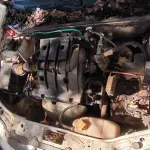 LOTE 029 - 01 FIAT STRADA PICK UP FIRE FLEX; PLACA: JIF-1574; ANO: 2009.  CHASSI: 9BD27803M97161620, RENAVAM: 00148258808; (VEÍCULO SOFREU SUPER AQUECIMENTO). (NO ESTADO)