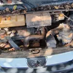 LOTE 026 - 01 VAN PEUGEOT BOXER NIKS 16; PLACA: JHP-7922; ANO: 2009. CHASSI: 936ZCXMNCA2048486, RENAVAM: 00198883820; (VEÍCULO AMASSADO NO TETO NA FRENTE E TRASERIRA, AR-CONDICIONADO NÃO FUNCIONA E SUPORTE DO COMPRESSOR DO A/C QUEBRADO, SUSPENSÃO DIANTEIRA FAZENDO MUITO BARULHO) (NO ESTADO)
