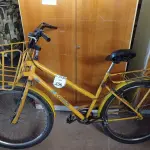 LOTE 256 - 01 BICICLETA CARGUEIRA NA COR AMARELA. (NO ESTADO) ATENÇÃO! FAZER A VISITAÇÃO ANTES DE ARREMATAR, NÃO SABEMOS SE FUNCIONA. LEILÃO NÃO TEM GARANTIA E NEM DEVOLUÇÃO, SUJEITO A POSSÍVEIS AVARIAS VISÍVEIS/OCULTAS E/OU AUSÊNCIA DE COMPONENTES.