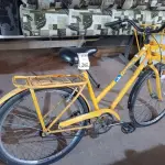 LOTE 262 - 01 BICICLETA CARGUEIRA NA COR AMARELA. (NO ESTADO) ATENÇÃO! FAZER A VISITAÇÃO ANTES DE ARREMATAR, NÃO SABEMOS SE FUNCIONA. LEILÃO NÃO TEM GARANTIA E NEM DEVOLUÇÃO, SUJEITO A POSSÍVEIS AVARIAS VISÍVEIS/OCULTAS E/OU AUSÊNCIA DE COMPONENTES.