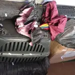 LOTE 301 - 01 CAIXA COM VÁRIAS GARRAFAS DIVERSAS ,01 CAIXAS COM TECLADOS ,01 CASA DE TRANSPORTE PARA PETS , 01 TAPETE , ADESIVOS DIVERSOS E 04 GUARDA-CHUVAS (NO ESTADO) ATENÇÃO! FAZER A VISITAÇÃO ANTES DE ARREMATAR, NÃO SABEMOS SE FUNCIONA. LEILÃO NÃO TEM GARANTIA E NEM DEVOLUÇÃO, SUJEITO A POSSÍVEIS AVARIAS VISÍVEIS/OCULTAS E/OU AUSÊNCIA DE COMPONENTES.