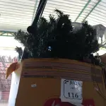 LOTE 116 - 01 ARVORE DE NATAL E 01 REDE DE VÔLEI. (NO ESTADO) ATENÇÃO! FAZER A VISITAÇÃO ANTES DE ARREMATAR, NÃO SABEMOS SE FUNCIONA. LEILÃO NÃO TEM GARANTIA E NEM DEVOLUÇÃO, SUJEITO A POSSÍVEIS AVARIAS VISÍVEIS/OCULTAS E/OU AUSÊNCIA DE COMPONENTES.