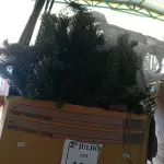 LOTE 116 - 01 ARVORE DE NATAL E 01 REDE DE VÔLEI. (NO ESTADO) ATENÇÃO! FAZER A VISITAÇÃO ANTES DE ARREMATAR, NÃO SABEMOS SE FUNCIONA. LEILÃO NÃO TEM GARANTIA E NEM DEVOLUÇÃO, SUJEITO A POSSÍVEIS AVARIAS VISÍVEIS/OCULTAS E/OU AUSÊNCIA DE COMPONENTES.