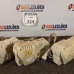 LOTE 324 - 05 ESTABILIZADORES (NO ESTADO) ATENÇÃO! FAZER A VISITAÇÃO ANTES DE ARREMATAR, NÃO SABEMOS SE FUNCIONA. LEILÃO NÃO TEM GARANTIA E NEM DEVOLUÇÃO, SUJEITO A POSSÍVEIS AVARIAS VISÍVEIS/OCULTAS E/OU AUSÊNCIA DE COMPONENTES.