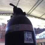 LOTE 126 - 01 FILTRO PARA PISCINA. (NO ESTADO) ATENÇÃO! FAZER A VISITAÇÃO ANTES DE ARREMATAR, NÃO SABEMOS SE FUNCIONA. LEILÃO NÃO TEM GARANTIA E NEM DEVOLUÇÃO, SUJEITO A POSSÍVEIS AVARIAS VISÍVEIS/OCULTAS E/OU AUSÊNCIA DE COMPONENTES.