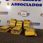 LOTE 310 - 06 CAIXA DE GRAMPOS 18 GA ¼” NARROW CROWN STAPLES (NO ESTADO) ATENÇÃO! FAZER A VISITAÇÃO ANTES DE ARREMATAR, NÃO SABEMOS SE FUNCIONA. LEILÃO NÃO TEM GARANTIA E NEM DEVOLUÇÃO, SUJEITO A POSSÍVEIS AVARIAS VISÍVEIS/OCULTAS E/OU AUSÊNCIA DE COMPONENTES.