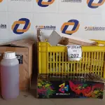 LOTE 202 - 01 LOTE COM DIVERSOS MATERIAIS PARA MANUTENÇÃO DE TONNERS E IMPRESSORAS. (NO ESTADO) ATENÇÃO! FAZER A VISITAÇÃO ANTES DE ARREMATAR, NÃO SABEMOS SE FUNCIONA. LEILÃO NÃO TEM GARANTIA E NEM DEVOLUÇÃO, SUJEITO A POSSÍVEIS AVARIAS VISÍVEIS/OCULTAS E/OU AUSÊNCIA DE COMPONENTES.