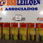 LOTE 127 - 08 REMOVEDORES DE TINTA 900ML - NATRIELLI NOVO. (NO ESTADO)