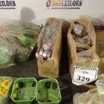 LOTE 329 - 02 CAIXAS COM CONECTORES CÔNICO PARA CONDULETE E CAIXAS DE LUZ ELÉTRICA 4X2E4X4. (NO ESTADO) ATENÇÃO! FAZER A VISITAÇÃO ANTES DE ARREMATAR, NÃO SABEMOS SE FUNCIONA. LEILÃO NÃO TEM GARANTIA E NEM DEVOLUÇÃO, SUJEITO A POSSÍVEIS AVARIAS VISÍVEIS/OCULTAS E/OU AUSÊNCIA DE COMPONENTES.