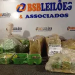 LOTE 329 - 02 CAIXAS COM CONECTORES CÔNICO PARA CONDULETE E CAIXAS DE LUZ ELÉTRICA 4X2E4X4. (NO ESTADO) ATENÇÃO! FAZER A VISITAÇÃO ANTES DE ARREMATAR, NÃO SABEMOS SE FUNCIONA. LEILÃO NÃO TEM GARANTIA E NEM DEVOLUÇÃO, SUJEITO A POSSÍVEIS AVARIAS VISÍVEIS/OCULTAS E/OU AUSÊNCIA DE COMPONENTES.