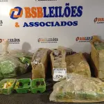 LOTE 329 - 02 CAIXAS COM CONECTORES CÔNICO PARA CONDULETE E CAIXAS DE LUZ ELÉTRICA 4X2E4X4. (NO ESTADO) ATENÇÃO! FAZER A VISITAÇÃO ANTES DE ARREMATAR, NÃO SABEMOS SE FUNCIONA. LEILÃO NÃO TEM GARANTIA E NEM DEVOLUÇÃO, SUJEITO A POSSÍVEIS AVARIAS VISÍVEIS/OCULTAS E/OU AUSÊNCIA DE COMPONENTES.