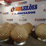 LOTE 306 - 10 GLOBOS EM VIDRO. (NO ESTADO) ATENÇÃO! FAZER A VISITAÇÃO ANTES DE ARREMATAR, NÃO SABEMOS SE FUNCIONA. LEILÃO NÃO TEM GARANTIA E NEM DEVOLUÇÃO, SUJEITO A POSSÍVEIS AVARIAS VISÍVEIS/OCULTAS E/OU AUSÊNCIA DE COMPONENTES.