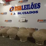 LOTE 427 - 01 CAIXA COM GLOBOS PARA LUMINÁRIAS. (NO ESTADO) ATENÇÃO! FAZER A VISITAÇÃO ANTES DE ARREMATAR, NÃO SABEMOS SE FUNCIONA. LEILÃO NÃO TEM GARANTIA E NEM DEVOLUÇÃO, SUJEITO A POSSÍVEIS AVARIAS VISÍVEIS/OCULTAS E/OU AUSÊNCIA DE COMPONENTES.