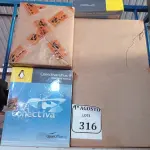 LOTE 316 - 01 LOTE COM VÁRIOS KITS DE SISTEMA OPERACIONAL E APLICATIVOS PARA ESTAÇÕES DE TRABALHO E SERVIDORES. (NO ESTADO) ATENÇÃO! FAZER A VISITAÇÃO ANTES DE ARREMATAR, NÃO SABEMOS SE FUNCIONA. LEILÃO NÃO TEM GARANTIA E NEM DEVOLUÇÃO, SUJEITO A POSSÍVEIS AVARIAS VISÍVEIS/OCULTAS E/OU AUSÊNCIA DE COMPONENTES.