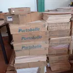 LOTE 535 - 01 LOTE COM REVESTIMENTO PORTOBELLO CETIM BIANCO 30X40 BOLD E AZULEJOS ELIANE 50,0 X 200,0MM. (NO ESTADO) ATENÇÃO! FAZER A VISITAÇÃO ANTES DE ARREMATAR, NÃO SABEMOS SE FUNCIONA. LEILÃO NÃO TEM GARANTIA E NEM DEVOLUÇÃO, SUJEITO A POSSÍVEIS AVARIAS VISÍVEIS/OCULTAS E/OU AUSÊNCIA DE COMPONENTES.