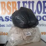 LOTE 322 - 01 LOTE COM 20 CORTINAS DIVERSAS (SACKS WITH CURTAINS). (NO ESTADO EM QUE SE ENCONTRA. SUJEITO A AVARIAS OCULTAS/VISÍVEIS.) 0000083