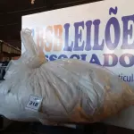 LOTE 318 - 01 LOTE COM 20 CORTINAS DIVERSAS (SACKS WITH CURTAINS). (NO ESTADO EM QUE SE ENCONTRA. SUJEITO A AVARIAS OCULTAS/VISÍVEIS.) 0000083