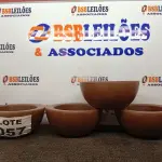 LOTE 057 - 04 - VASOS DE PLANTAS (NO ESTADO, NÃO SABEMOS SE FUNCIONA. LEILÃO NÃO TEM GARANTIA E NEM DEVOLUÇÃO, SUJEITO A POSSÍVEIS AVARIAS VISÍVEIS/OCULTAS E/OU AUSÊNCIA DE COMPONENTES)