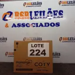 LOTE 224 - 20 - PARAFUSOS DE RODA 96MM FEY (NO ESTADO, NÃO SABEMOS SE FUNCIONA. LEILÃO NÃO TEM GARANTIA E NEM DEVOLUÇÃO, SUJEITO A POSSÍVEIS AVARIAS VISÍVEIS/OCULTAS E/OU AUSÊNCIA DE COMPONENTES)