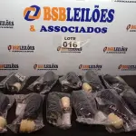LOTE 016 - 11 – KITS AMORTECEDOR (NO ESTADO, NÃO SABEMOS SE FUNCIONA. LEILÃO NÃO TEM GARANTIA E NEM DEVOLUÇÃO, SUJEITO A POSSÍVEIS AVARIAS VISÍVEIS/OCULTAS E/OU AUSÊNCIA DE COMPONENTES)