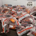 LOTE 025 - 60 – SETAS MOTOS DIVERSAS (NO ESTADO, NÃO SABEMOS SE FUNCIONA. LEILÃO NÃO TEM GARANTIA E NEM DEVOLUÇÃO, SUJEITO A POSSÍVEIS AVARIAS VISÍVEIS/OCULTAS E/OU AUSÊNCIA DE COMPONENTES)