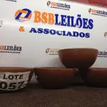LOTE 057 - 04 - VASOS DE PLANTAS (NO ESTADO, NÃO SABEMOS SE FUNCIONA. LEILÃO NÃO TEM GARANTIA E NEM DEVOLUÇÃO, SUJEITO A POSSÍVEIS AVARIAS VISÍVEIS/OCULTAS E/OU AUSÊNCIA DE COMPONENTES)