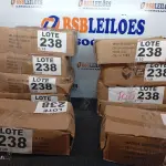 LOTE 238 - 400 - LÂMPADAS FAROL H4 12VOLTS (NO ESTADO, NÃO SABEMOS SE FUNCIONA. LEILÃO NÃO TEM GARANTIA E NEM DEVOLUÇÃO, SUJEITO A POSSÍVEIS AVARIAS VISÍVEIS/OCULTAS E/OU AUSÊNCIA DE COMPONENTES)