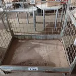 LOTE 134 - 01 - GAIOLA CONTAINER (NO ESTADO, NÃO SABEMOS SE FUNCIONA. LEILÃO NÃO TEM GARANTIA E NEM DEVOLUÇÃO, SUJEITO A POSSÍVEIS AVARIAS VISÍVEIS/OCULTAS E/OU AUSÊNCIA DE COMPONENTES)