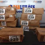 LOTE 229 - 400 - LÂMPADAS FAROL H4 12VOLTS (NO ESTADO, NÃO SABEMOS SE FUNCIONA. LEILÃO NÃO TEM GARANTIA E NEM DEVOLUÇÃO, SUJEITO A POSSÍVEIS AVARIAS VISÍVEIS/OCULTAS E/OU AUSÊNCIA DE COMPONENTES)