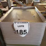 LOTE 185 - 01 LOTE COM DIVERSAS BANDEJAS, APROXIMADAMENTE 40. (NO ESTADO) ATENÇÃO! FAZER A VISITAÇÃO ANTES DE ARREMATAR, NÃO SABEMOS SE FUNCIONA. LEILÃO NÃO TEM GARANTIA E NEM DEVOLUÇÃO, SUJEITO A POSSÍVEIS AVARIAS VISÍVEIS/OCULTAS E/OU AUSÊNCIA DE COMPONENTES.