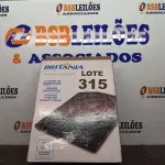 LOTE 315 - 01 - COOKTOP DE INDUÇÃO BCT01P BRITÂNIA 220VOLTS (NO ESTADO, NÃO SABEMOS SE FUNCIONA. LEILÃO NÃO TEM GARANTIA E NEM DEVOLUÇÃO, SUJEITO A POSSÍVEIS AVARIAS VISÍVEIS/OCULTAS E/OU AUSÊNCIA DE COMPONENTES)