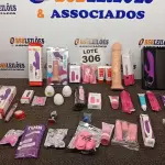 LOTE 306 - 36 – ITENS SEXY SHOP DIVERSOS (NO ESTADO, NÃO SABEMOS SE FUNCIONA. LEILÃO NÃO TEM GARANTIA E NEM DEVOLUÇÃO, SUJEITO A POSSÍVEIS AVARIAS VISÍVEIS/OCULTAS E/OU AUSÊNCIA DE COMPONENTES)