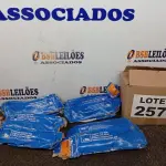 LOTE 257 - 04 - CILINDROS MESTRE DE EMBREAGEM 20MM MARCA ATE (NO ESTADO, NÃO SABEMOS SE FUNCIONA. LEILÃO NÃO TEM GARANTIA E NEM DEVOLUÇÃO, SUJEITO A POSSÍVEIS AVARIAS VISÍVEIS/OCULTAS E/OU AUSÊNCIA DE COMPONENTES)