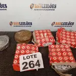 LOTE 264 - 08 - ROLAMENTOS PINHAO MBB1519 1513 REDUZIDO 521618 MARCA FAG (NO ESTADO, NÃO SABEMOS SE FUNCIONA. LEILÃO NÃO TEM GARANTIA E NEM DEVOLUÇÃO, SUJEITO A POSSÍVEIS AVARIAS VISÍVEIS/OCULTAS E/OU AUSÊNCIA DE COMPONENTES)