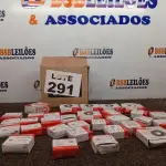 LOTE 291 - 32 – ROLAMENTOS AUTOMOTIVO DIVERSOS (NO ESTADO, NÃO SABEMOS SE FUNCIONA. LEILÃO NÃO TEM GARANTIA E NEM DEVOLUÇÃO, SUJEITO A POSSÍVEIS AVARIAS VISÍVEIS/OCULTAS E/OU AUSÊNCIA DE COMPONENTES)