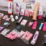 LOTE 306 - 36 – ITENS SEXY SHOP DIVERSOS (NO ESTADO, NÃO SABEMOS SE FUNCIONA. LEILÃO NÃO TEM GARANTIA E NEM DEVOLUÇÃO, SUJEITO A POSSÍVEIS AVARIAS VISÍVEIS/OCULTAS E/OU AUSÊNCIA DE COMPONENTES)