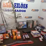 LOTE 294 - 30 – ITENS AUTOMOTIVOS DIVERSOS (NO ESTADO, NÃO SABEMOS SE FUNCIONA. LEILÃO NÃO TEM GARANTIA E NEM DEVOLUÇÃO, SUJEITO A POSSÍVEIS AVARIAS VISÍVEIS/OCULTAS E/OU AUSÊNCIA DE COMPONENTES)