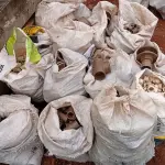 LOTE 540 - 01 LOTE COM CONEXÕES DIVERSAS. (NO ESTADO) ATENÇÃO! FAZER A VISITAÇÃO ANTES DE ARREMATAR, NÃO SABEMOS SE FUNCIONA. LEILÃO NÃO TEM GARANTIA E NEM DEVOLUÇÃO, SUJEITO A POSSÍVEIS AVARIAS VISÍVEIS/OCULTAS E/OU AUSÊNCIA DE COMPONENTES.