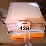 LOTE 428 - 01 LOTE C/ DIVERSAS LUMINÁRIAS. (NO ESTADO) ATENÇÃO! FAZER A VISITAÇÃO ANTES DE ARREMATAR, NÃO SABEMOS SE FUNCIONA. LEILÃO NÃO TEM GARANTIA E NEM DEVOLUÇÃO, SUJEITO A POSSÍVEIS AVARIAS VISÍVEIS/OCULTAS E/OU AUSÊNCIA DE COMPONENTES.