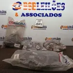LOTE 443 - 01 LOTE C/ DIVERSOS TUBOS E CONEXÕES MARCAS E MODELOS DIVERSOS. (NO ESTADO) ATENÇÃO! FAZER A VISITAÇÃO ANTES DE ARREMATAR, NÃO SABEMOS SE FUNCIONA. LEILÃO NÃO TEM GARANTIA E NEM DEVOLUÇÃO, SUJEITO A POSSÍVEIS AVARIAS VISÍVEIS/OCULTAS E/OU AUSÊNCIA DE COMPONENTES.