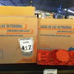 LOTE 417 - 02 CAIXAS DE LUZ OCTOGONAL. (NO ESTADO) ATENÇÃO! FAZER A VISITAÇÃO ANTES DE ARREMATAR, NÃO SABEMOS SE FUNCIONA. LEILÃO NÃO TEM GARANTIA E NEM DEVOLUÇÃO, SUJEITO A POSSÍVEIS AVARIAS VISÍVEIS/OCULTAS E/OU AUSÊNCIA DE COMPONENTES.