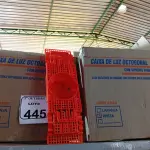 LOTE 445 - 02 CAIXAS DE LUZ OCTOGONAL. (NO ESTADO) ATENÇÃO! FAZER A VISITAÇÃO ANTES DE ARREMATAR, NÃO SABEMOS SE FUNCIONA. LEILÃO NÃO TEM GARANTIA E NEM DEVOLUÇÃO, SUJEITO A POSSÍVEIS AVARIAS VISÍVEIS/OCULTAS E/OU AUSÊNCIA DE COMPONENTES.