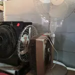LOTE 381 - 01 LOTE C/ VENTILADORES DE DIVERSOS MODELOS, MARCAS E TAMANHOS. (NO ESTADO) ATENÇÃO! FAZER A VISITAÇÃO ANTES DE ARREMATAR, NÃO SABEMOS SE FUNCIONA. LEILÃO NÃO TEM GARANTIA E NEM DEVOLUÇÃO, SUJEITO A POSSÍVEIS AVARIAS VISÍVEIS/OCULTAS E/OU AUSÊNCIA DE COMPONENTES.