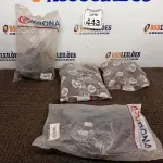 LOTE 443 - 01 LOTE C/ DIVERSOS TUBOS E CONEXÕES MARCAS E MODELOS DIVERSOS. (NO ESTADO) ATENÇÃO! FAZER A VISITAÇÃO ANTES DE ARREMATAR, NÃO SABEMOS SE FUNCIONA. LEILÃO NÃO TEM GARANTIA E NEM DEVOLUÇÃO, SUJEITO A POSSÍVEIS AVARIAS VISÍVEIS/OCULTAS E/OU AUSÊNCIA DE COMPONENTES.